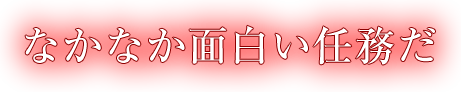 なかなか面白い任務だ