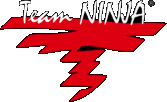 Team NINJA