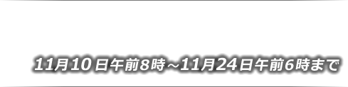 闘争開始11月10日午前8時〜11月24日午前6時まで