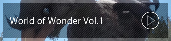 World of Wonder Vol.1