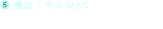 (5)魔法/ギルMAX フィールド画面で利用すると、ストックしている魔法の個数が100になります。同時にギルも最大値になります。