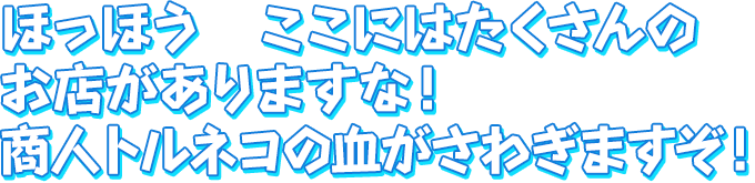 ほっほう　ここにはたくさんのお店がありますな！　商人トルネコの血がさわぎますぞ！