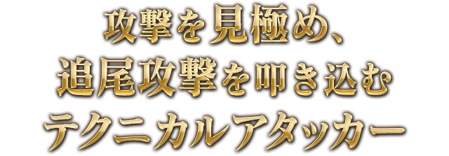 攻撃を見極め、追尾攻撃を叩き込むテクニカルアタッカー