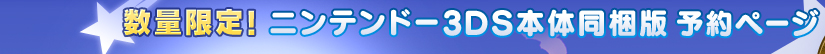 数量限定!ニンテンドー3DS本体同梱版