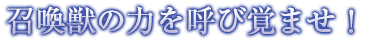 召喚獣の力を呼び覚ませ！