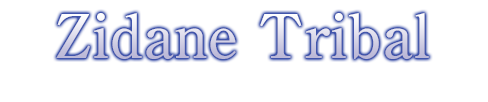 Zidane Tribal ジタン・トライバル（cv：朴 璐美）