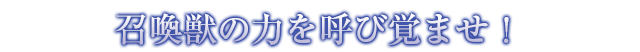 召喚獣の力を呼び覚ませ！