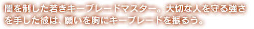 闇を制した若きキーブレードマスター。大切な人を守る強さを手した彼は、願いを胸にキーブレードを振るう。