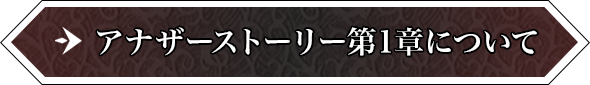 アナザーストーリー第1章について