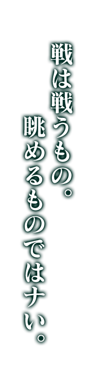 戦は戦うもの。眺めるものではナい。