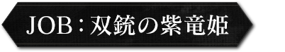 job:双銃の紫竜姫