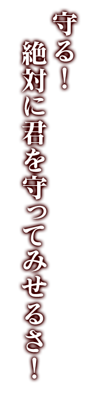 守る！絶対に君を守ってみせるさ！