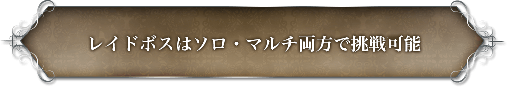 レイドボスはソロ・マルチ両方で挑戦可能。