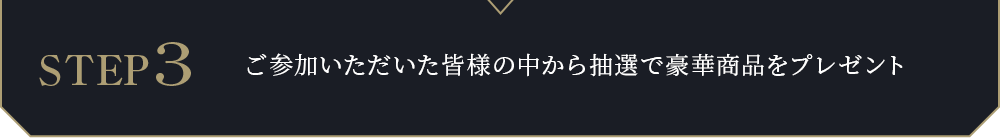 STEP3　ご参加いただいた皆様の中から抽選で豪華商品をプレゼント