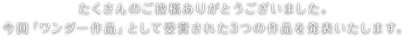 たくさんのご投稿ありがとうございました。今回「ワンダー作品」として受賞された3つの作品を発表いたします。