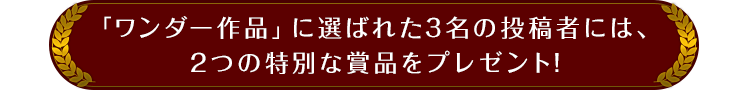 「ワンダー作品」に選ばれた3名の投稿者には、2つの特別な賞品をプレゼント！