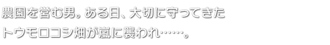 農園を営む男。ある日、大切に守ってきたトウモロコシ畑が嵐に襲われ……。