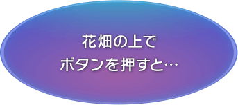 花畑の上でボタンを押すと…