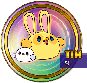 TIM　팀