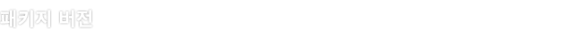 패키지 버전