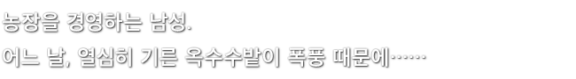농장을 경영하는 남성. 어느 날, 열심히 기른 옥수수밭이 폭풍 때문에……