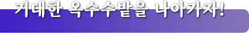 거대한 옥수수밭을 나아가자!