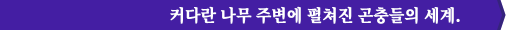 커다란 나무 주변에 펼쳐진 곤충들의 세계.