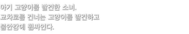 아기 고양이를 발견한 소녀. 교차로를 건너는 고양이를 발견하고 불안감에 휩싸인다.