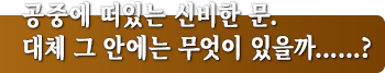 공중에 떠있는 신비한 문. 대체 그 안에는 무엇이 있을까……?