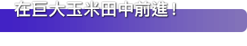 在巨大玉米田中前進！