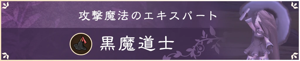 攻撃魔法のエキスパート 黒魔道士