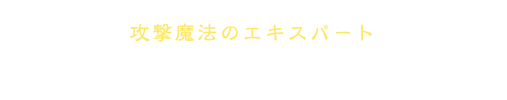 攻撃魔法のエキスパート 黒魔道士