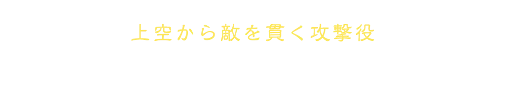 上空から敵を貫く攻撃役 ヴァルキリー