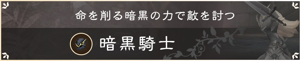 命を削る暗黒の力で敵を討つ 暗黒騎士