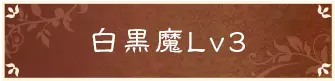 白黒魔Lv3