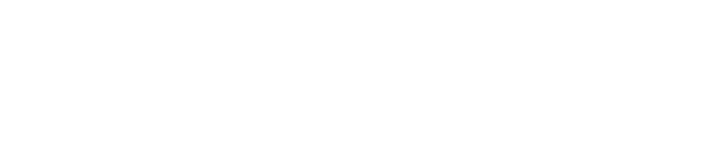 ラジカル・ドリーマーズ –盗めない宝石–