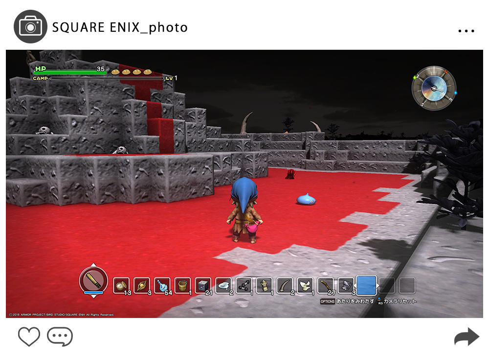 DQB_photo_1.png
