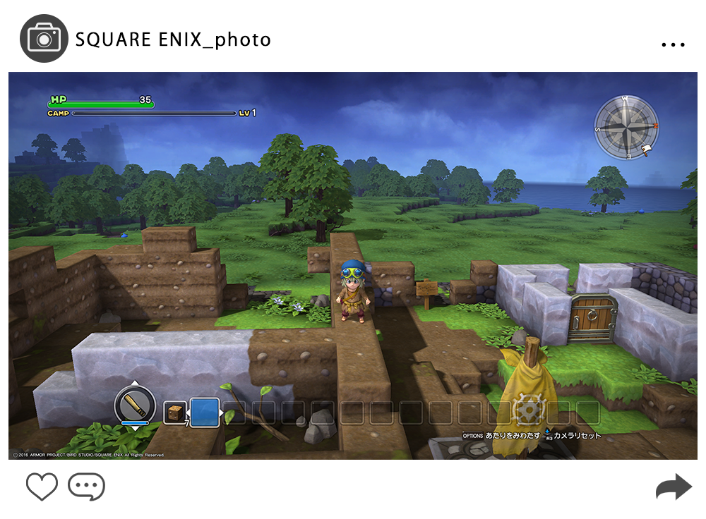DQB_photo_2.png