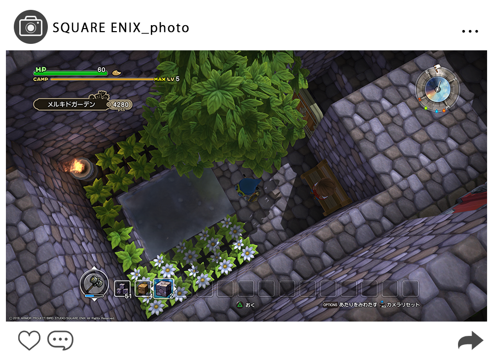 DQB_photo_4.png
