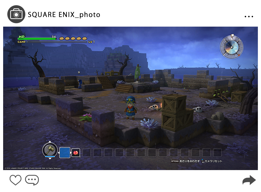 DQB_photo_6.png