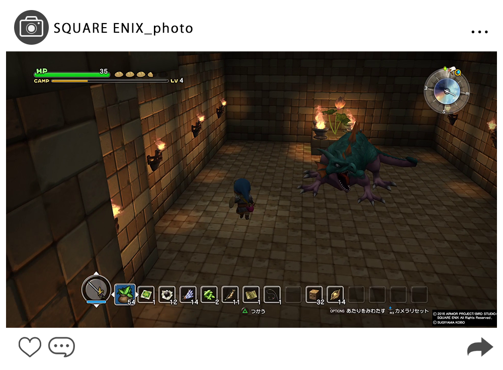 DQB_photo_7.png
