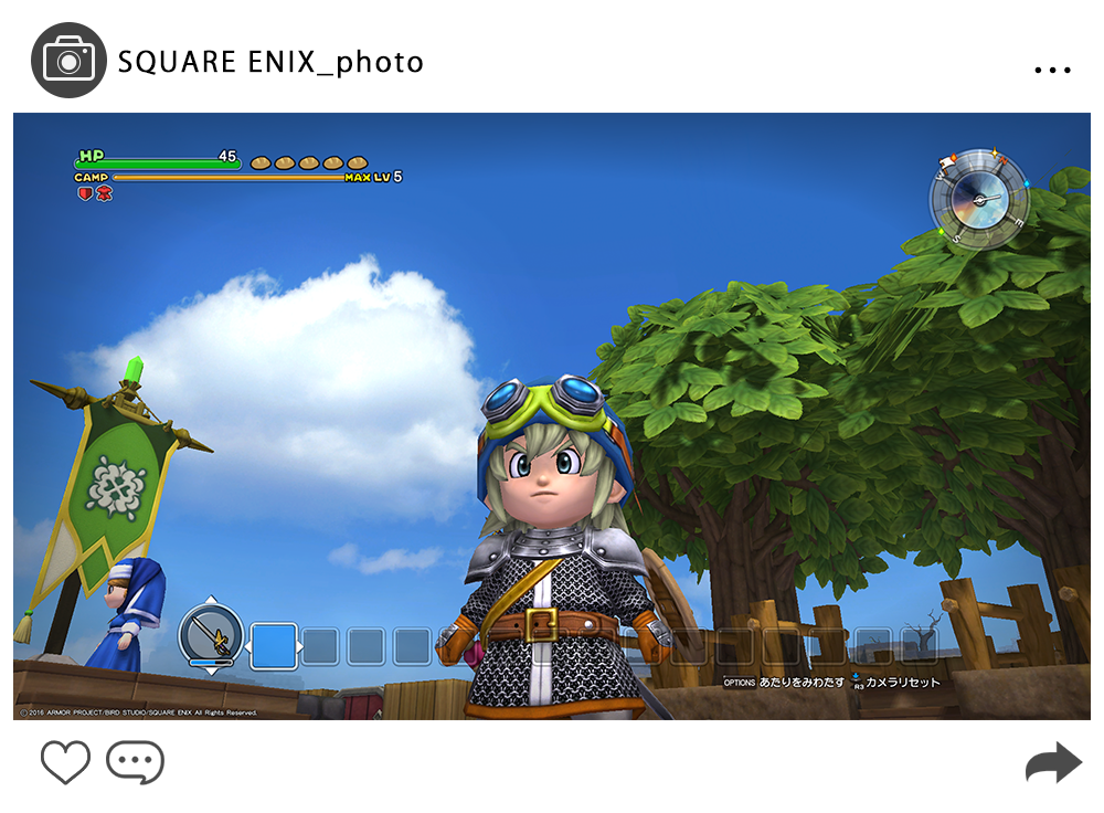 DQB_photo_8.png