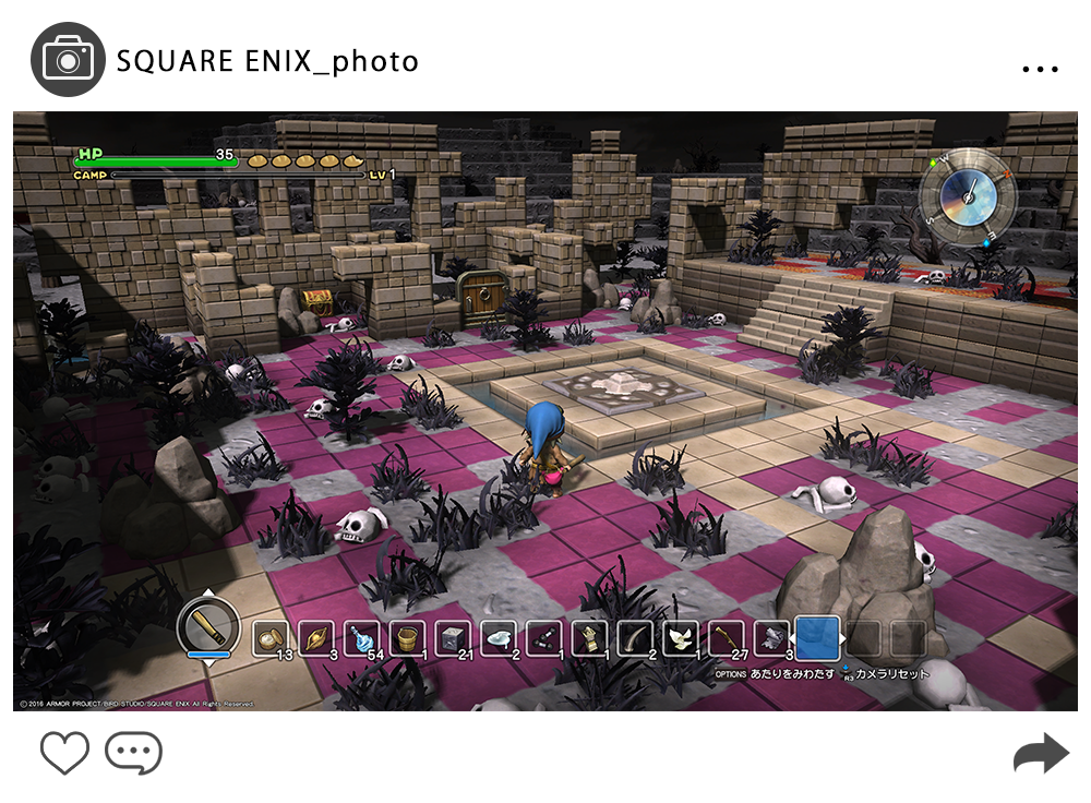 DQB_photo_9.png