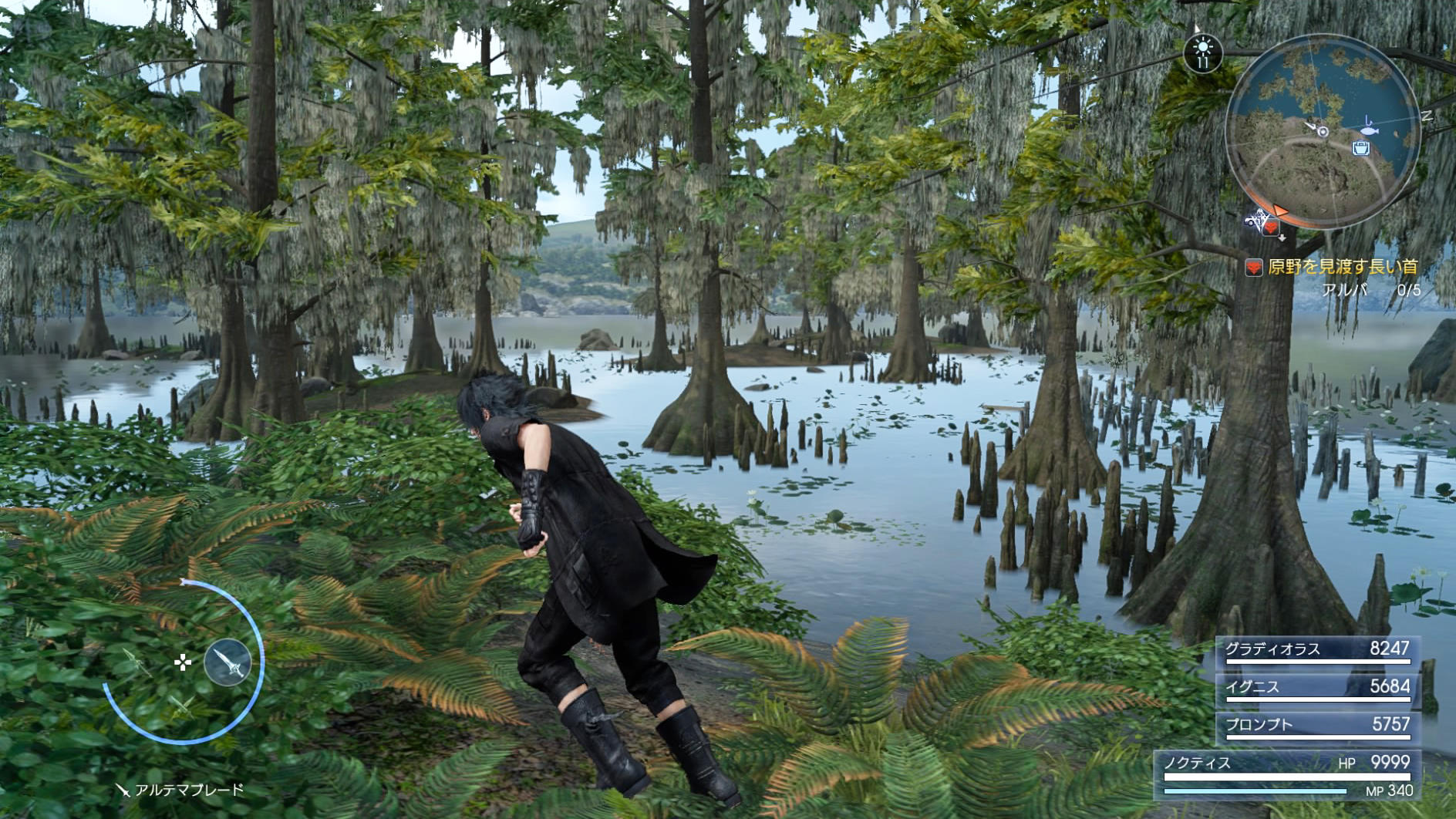 FF15_1.jpg