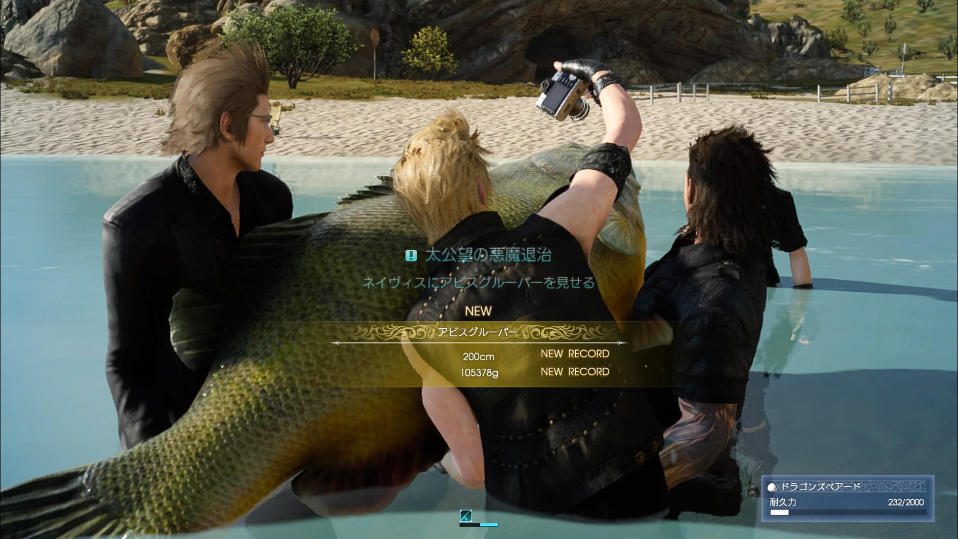 FF15_24.jpg