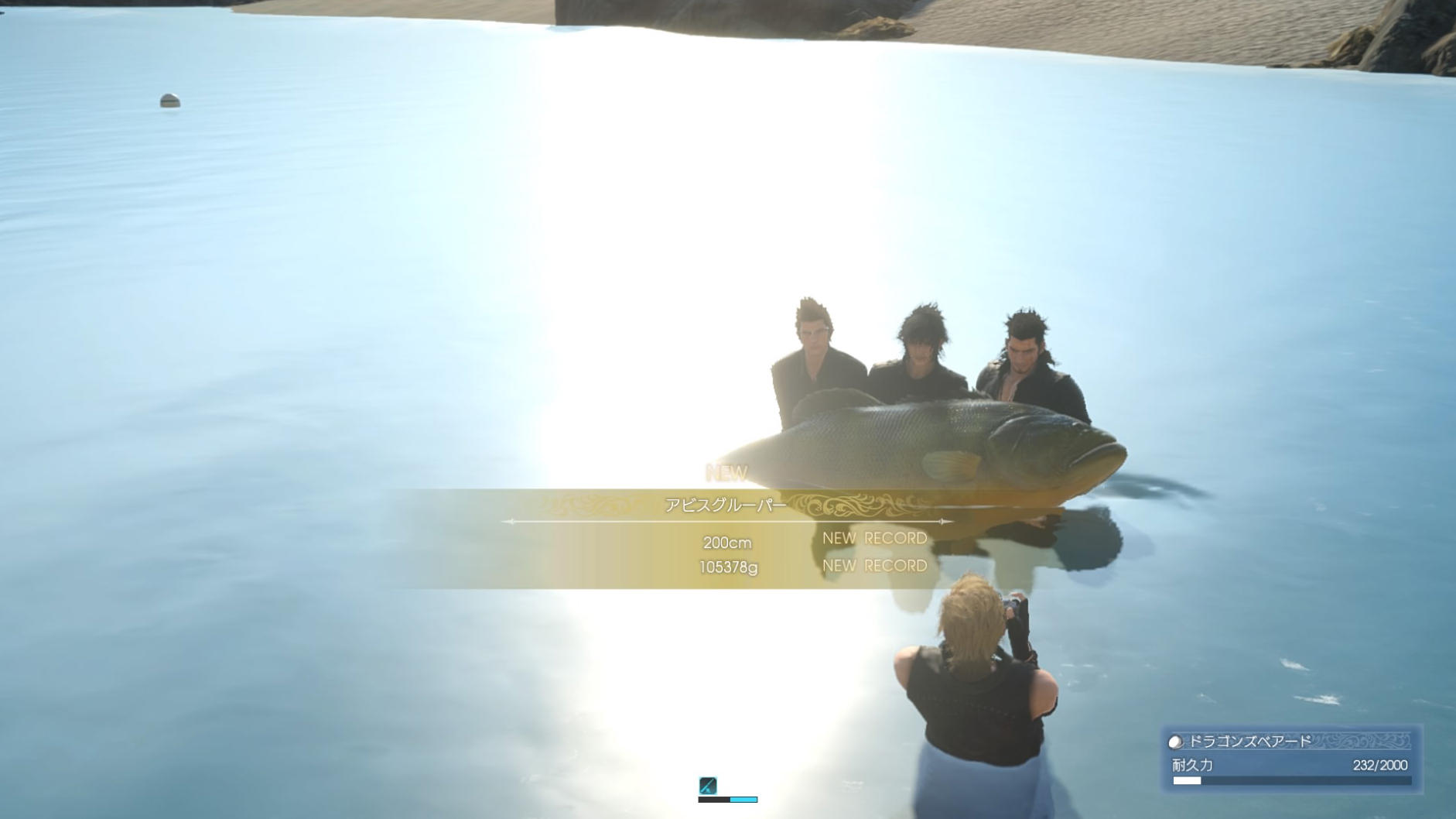 FF15_25.jpg