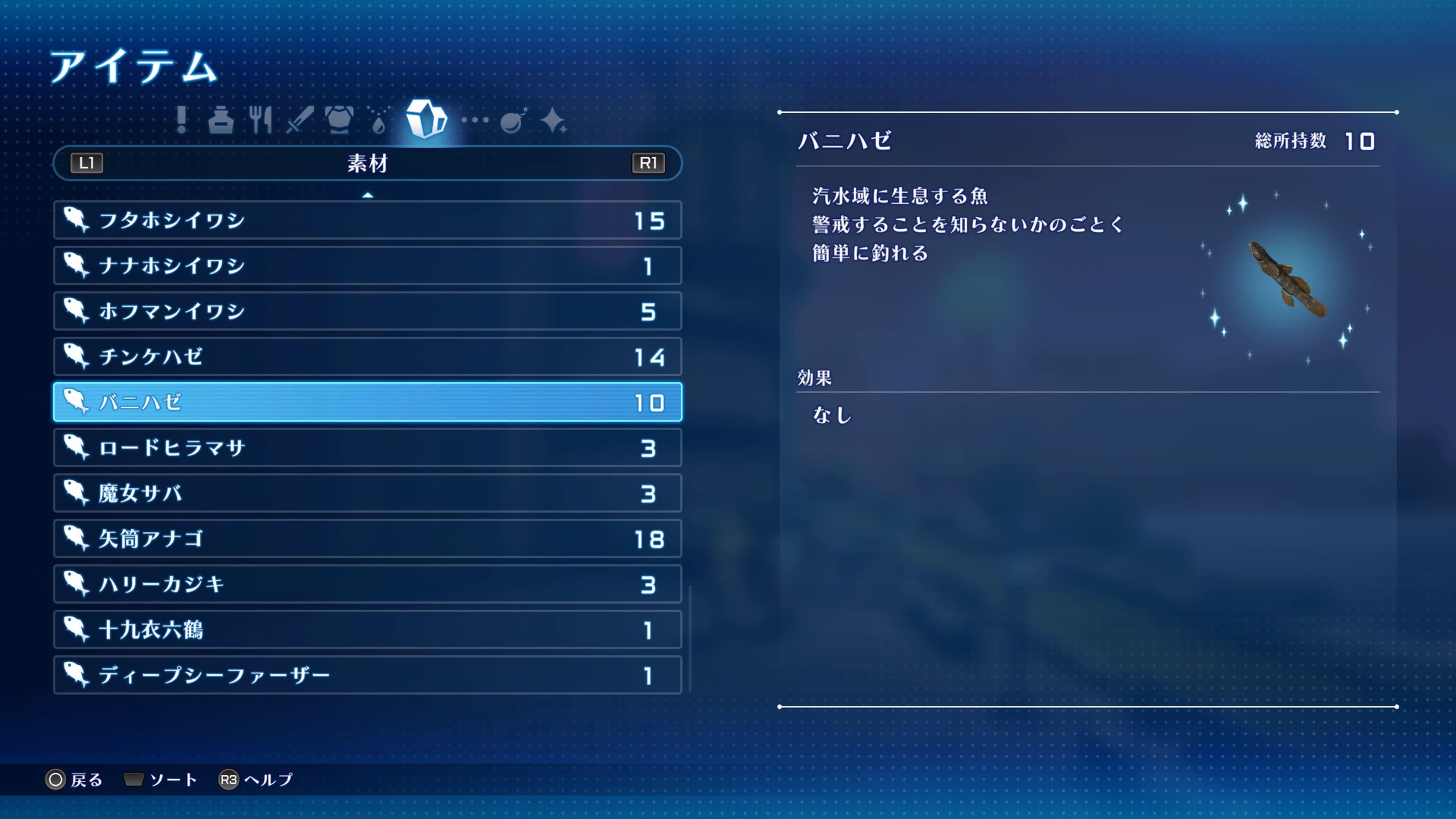 STAROCEAN_43.jpg