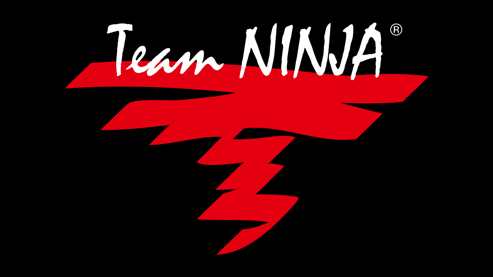 TeamNINJA_LOGO_レイヤー単体シェイプつき.png