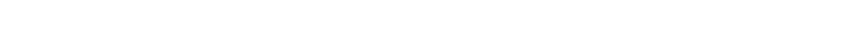 詳細情報