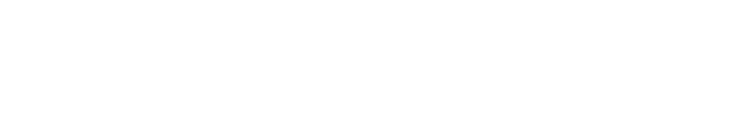 詳細情報